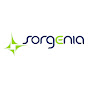 Sorgenia logo
