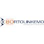 Bortolin Kemo S.p.A. logo