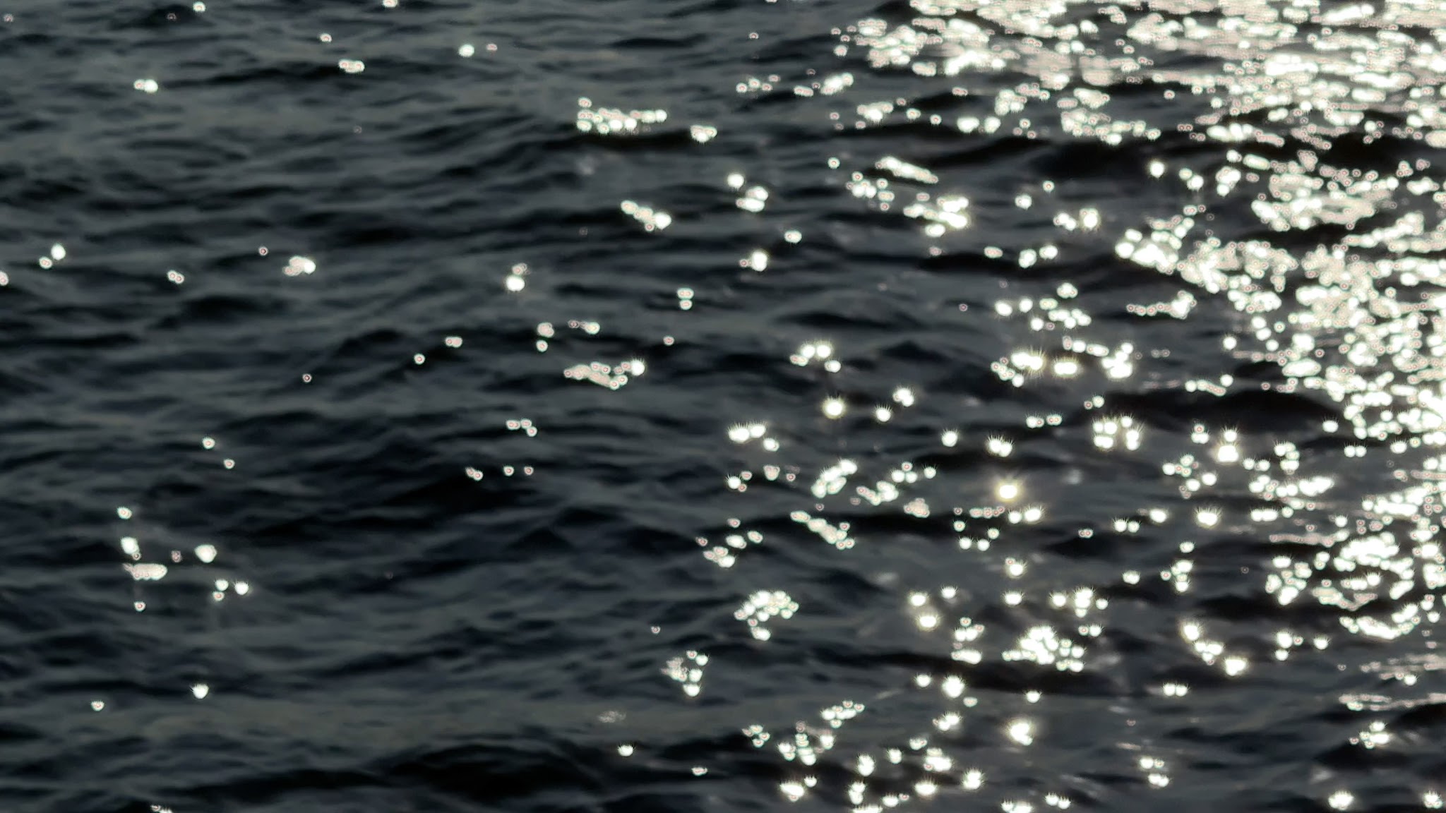 Iris von Arnim YouTube banner